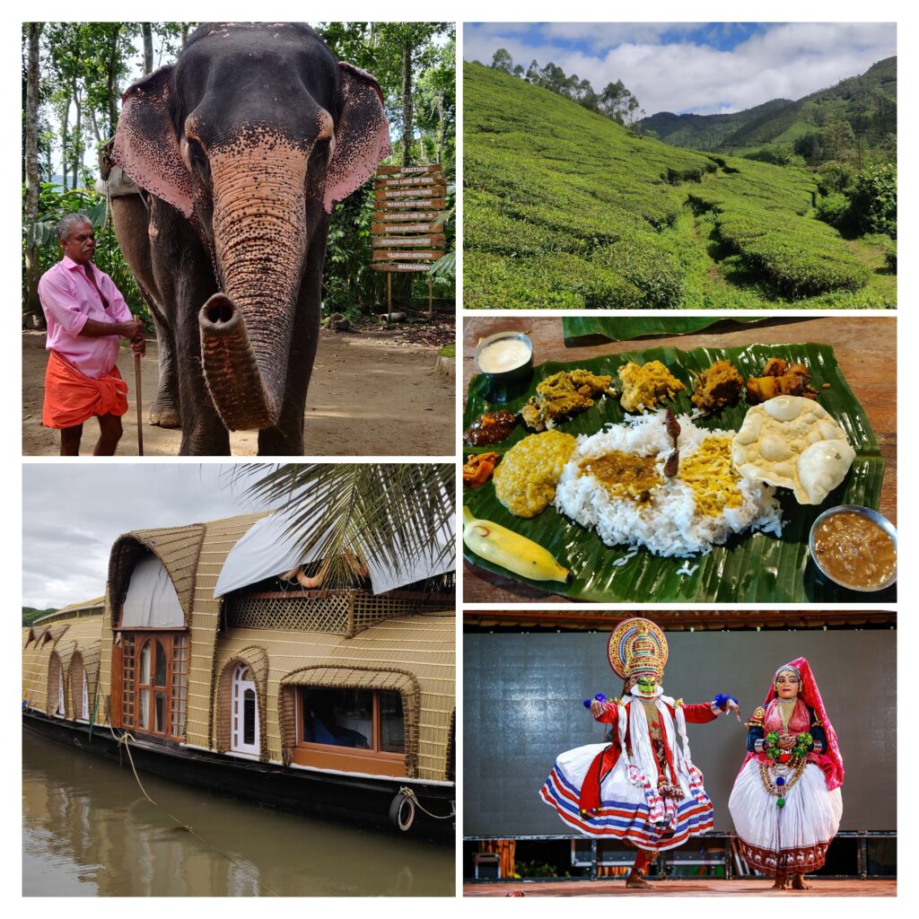 Exploring God’s Own Country: A Journey Through Alleppey, Thekkady, Munnar, and Kochi